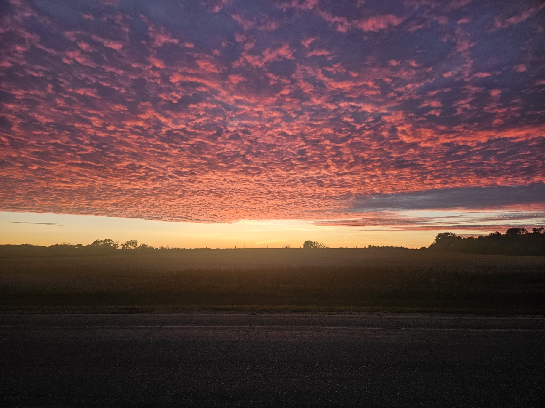 A prairie sunset with pink, cloud-streaked sky over an open field